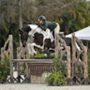 Meet your Posher, Margot